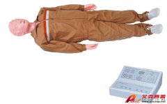 TSI-CPR-400型高級全自動(dòng)電腦心肺復(fù)蘇模擬人